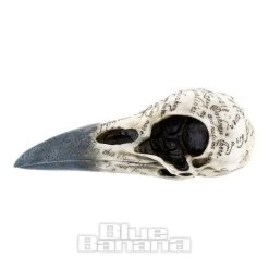 Nemesis Now Edgars Raven Skull (White/Black) -Unique Clothing&Accessories 118519 a
