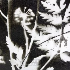 Dr. Martens Dr Martens 1460 Phantom Flower Boots (Black/White) -Unique Clothing&Accessories 12027c7f86f948dde1223d873708