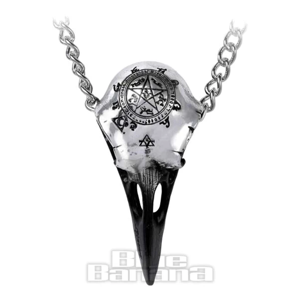 Alchemy Gothic Volvan Ravenskull Pendant Necklace (Silver) 3 Alchemy Gothic Volvan Ravenskull Pendant Necklace (Silver)