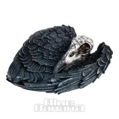 Nemesis Now Edgars Raven Trinket Holder (17cm) -Unique Clothing&Accessories 140010 e v2