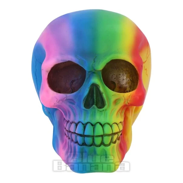 Nemesis Now Rainbow Skull (15.5cm) 3 Nemesis Now Rainbow Skull (15.5cm)