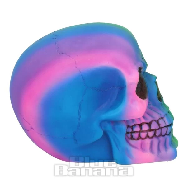 Nemesis Now Rainbow Skull (15.5cm) 4 Nemesis Now Rainbow Skull (15.5cm) - Image 2