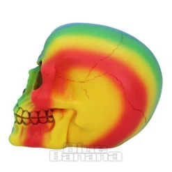 Nemesis Now Rainbow Skull (15.5cm) 9 Nemesis Now Rainbow Skull (15.5cm) -Unique Clothing&Accessories 140027 c