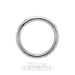 Blue Banana Surgical Steel 1.2mm Hinged Segment Ring (Half Opal) -Unique Clothing&Accessories 142647 ss b