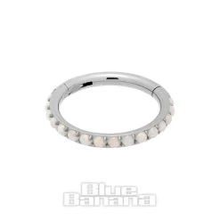 Blue Banana Surgical Steel 1.2mm Hinged Segment Ring (Half Opal) -Unique Clothing&Accessories 142647 ss c