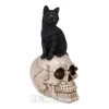 Nemesis Now Familiar Fate Cat & Skull Figurine (24.3CM) 1 Nemesis Now Familiar Fate Cat & Skull Figurine (24.3CM) -Unique Clothing&Accessories 143201