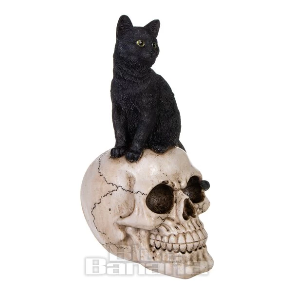 Nemesis Now Familiar Fate Cat & Skull Figurine (24.3CM) 3 Nemesis Now Familiar Fate Cat & Skull Figurine (24.3CM)