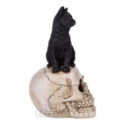 Nemesis Now Familiar Fate Cat & Skull Figurine (24.3CM) 9 Nemesis Now Familiar Fate Cat & Skull Figurine (24.3CM) -Unique Clothing&Accessories 143201 a