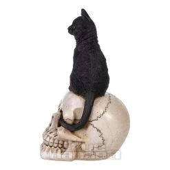 Nemesis Now Familiar Fate Cat & Skull Figurine (24.3CM) 11 Nemesis Now Familiar Fate Cat & Skull Figurine (24.3CM) -Unique Clothing&Accessories 143201 c