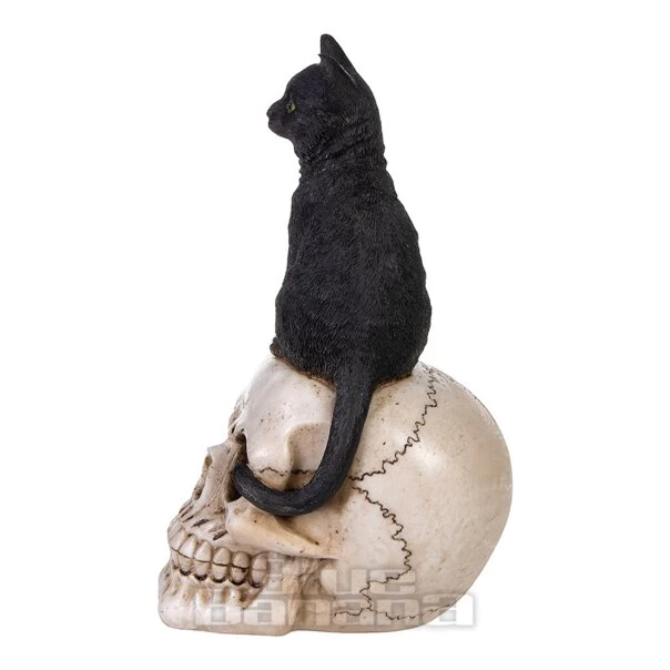Nemesis Now Familiar Fate Cat & Skull Figurine (24.3CM) 6 Nemesis Now Familiar Fate Cat & Skull Figurine (24.3CM) - Image 4