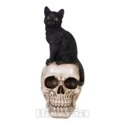 Nemesis Now Familiar Fate Cat & Skull Figurine (24.3CM) 12 Nemesis Now Familiar Fate Cat & Skull Figurine (24.3CM) -Unique Clothing&Accessories 143201 d