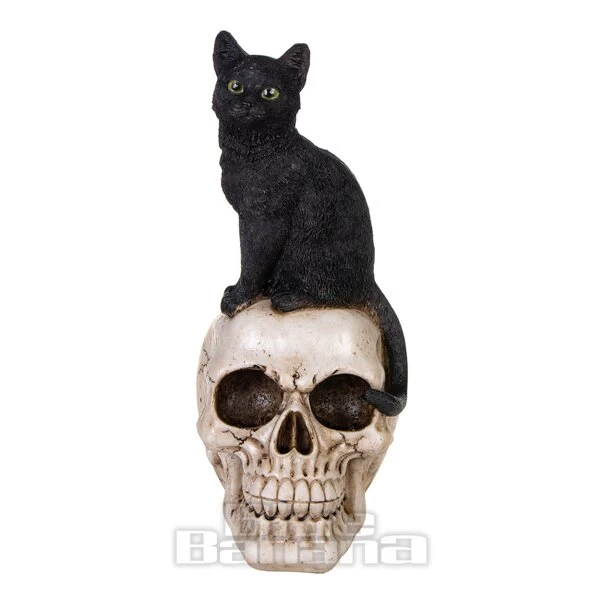 Nemesis Now Familiar Fate Cat & Skull Figurine (24.3CM) 7 Nemesis Now Familiar Fate Cat & Skull Figurine (24.3CM) - Image 5