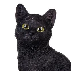 Nemesis Now Familiar Fate Cat & Skull Figurine (24.3CM) 13 Nemesis Now Familiar Fate Cat & Skull Figurine (24.3CM) -Unique Clothing&Accessories 143201 e