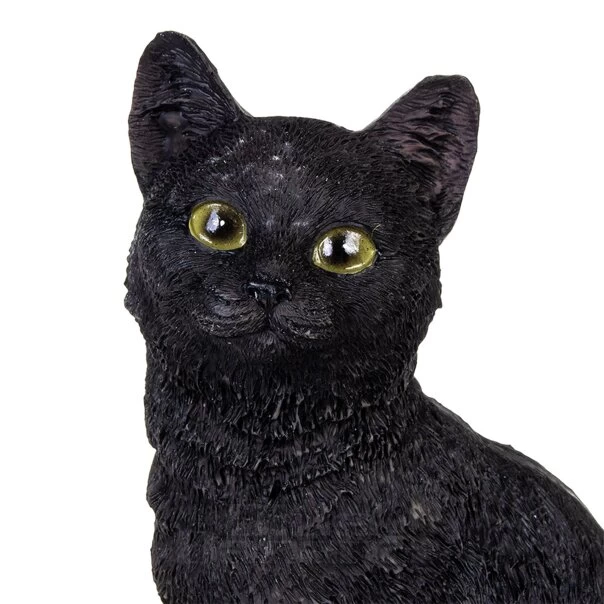 Nemesis Now Familiar Fate Cat & Skull Figurine (24.3CM) 8 Nemesis Now Familiar Fate Cat & Skull Figurine (24.3CM) - Image 6