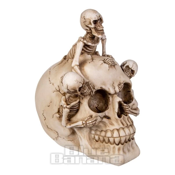Nemesis Now Breaking Free Skull (17.7cm) 3 Nemesis Now Breaking Free Skull (17.7cm)