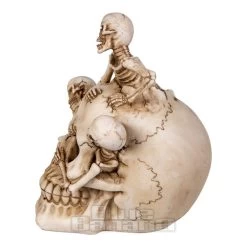 Nemesis Now Breaking Free Skull (17.7cm) 9 Nemesis Now Breaking Free Skull (17.7cm) -Unique Clothing&Accessories 144622 b