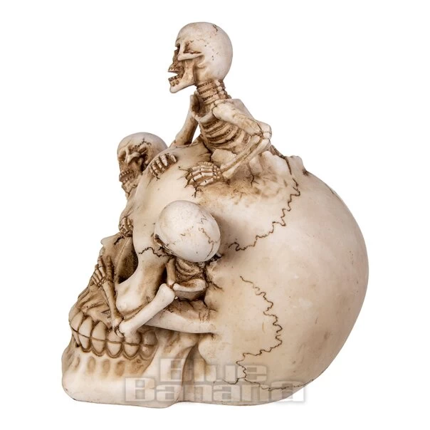 Nemesis Now Breaking Free Skull (17.7cm) 5 Nemesis Now Breaking Free Skull (17.7cm) - Image 3