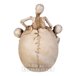 Nemesis Now Breaking Free Skull (17.7cm) 10 Nemesis Now Breaking Free Skull (17.7cm) -Unique Clothing&Accessories 144622 c