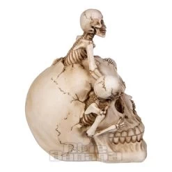 Nemesis Now Breaking Free Skull (17.7cm) 11 Nemesis Now Breaking Free Skull (17.7cm) -Unique Clothing&Accessories 144622 d