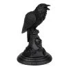 Alchemy Gothic Poe's Raven Candle Stick (Black) -Unique Clothing&Accessories 146574