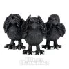 Nemesis Now 3 Wise Ravens Figurines (8.7 CM) -Unique Clothing&Accessories 146600