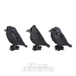 Nemesis Now 3 Wise Ravens Figurines (8.7 CM) -Unique Clothing&Accessories 146600 b