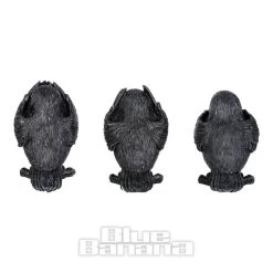 Nemesis Now 3 Wise Ravens Figurines (8.7 CM) -Unique Clothing&Accessories 146600 c