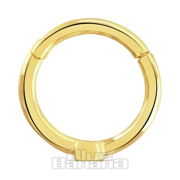 Blue Banana Cubic Zirconia Rectangular Stones 9 Ct Gold 1.0 X 8mm Hinged Segment Ring (Gold) 4 Blue Banana Cubic Zirconia Rectangular Stones 9 Ct Gold 1.0 X 8mm Hinged Segment Ring (Gold) - Image 2