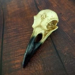 Alchemy Gothic Corvus Alchemica Figurine -Unique Clothing&Accessories 20220622 123343201