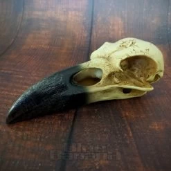 Alchemy Gothic Corvus Alchemica Figurine -Unique Clothing&Accessories 20220622 123357201