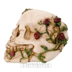 Nemesis Now Rose Beyond Skull Figurine (15cm) -Unique Clothing&Accessories 82488 b v2
