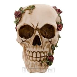 Nemesis Now Rose Beyond Skull Figurine (15cm) -Unique Clothing&Accessories 82488 c v2