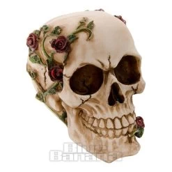 Nemesis Now Rose Beyond Skull Figurine (15cm)