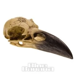 Alchemy Gothic Corvus Alchemica Figurine -Unique Clothing&Accessories 88328 c