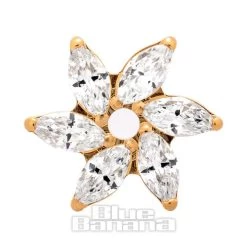 Blue Banana Plasma Gold Cubic Zirconia Flower Threadless Top (Gold)