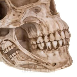 Nemesis Now Skull Of Skulls (18 CM) -Unique Clothing&Accessories 9c0f7205bc8ce84cf5ffd90ed75c
